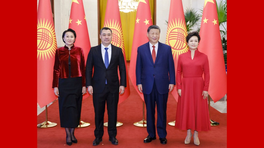 球隊的面貌
