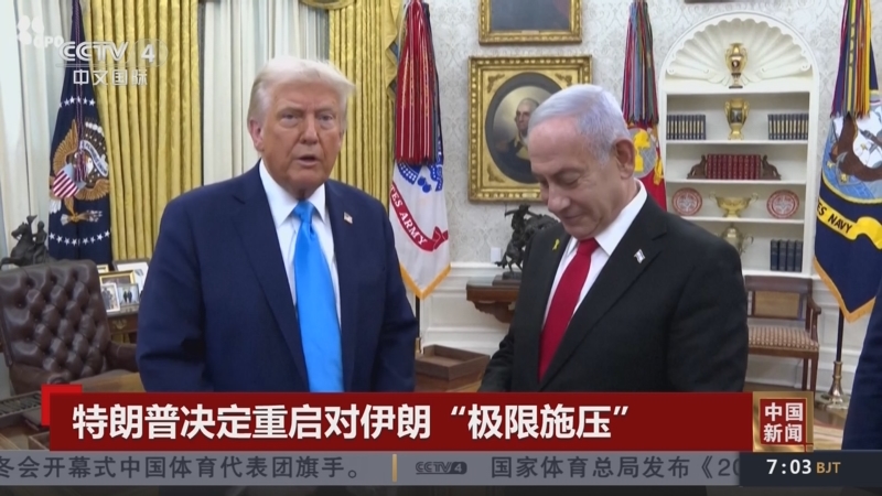 案例分析显